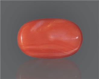 Natural Red Coral (J)  9.73 RTS - 65000